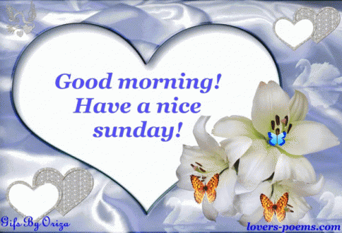 Amazing Sunday Quotes & Gifs For The Day - picture 7