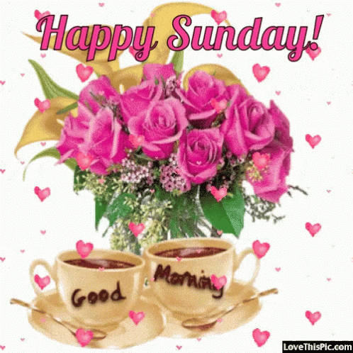 Amazing Sunday Quotes & Gifs For The Day - picture 8