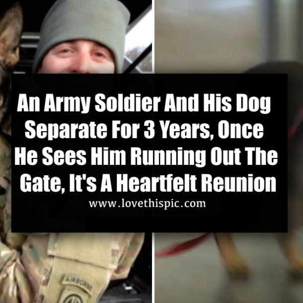 An Army Soldier And His Dog Separate For 3 Years, Once He Sees Him Running Out The Gate, It's A Heartfelt Reunion