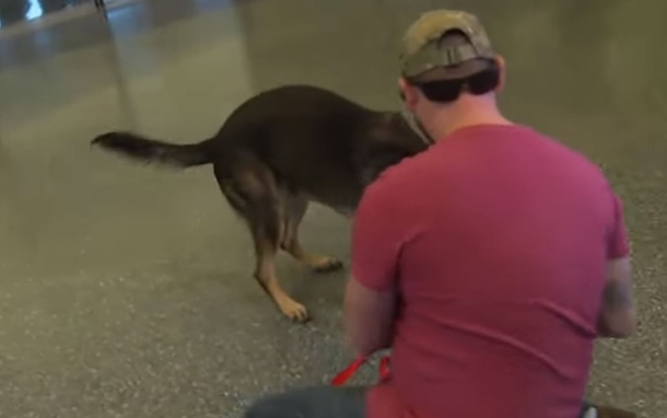 An Army Soldier And His Dog Separate For 3 Years, Once He Sees Him Running Out The Gate, It's A Heartfelt Reunion - picture 3