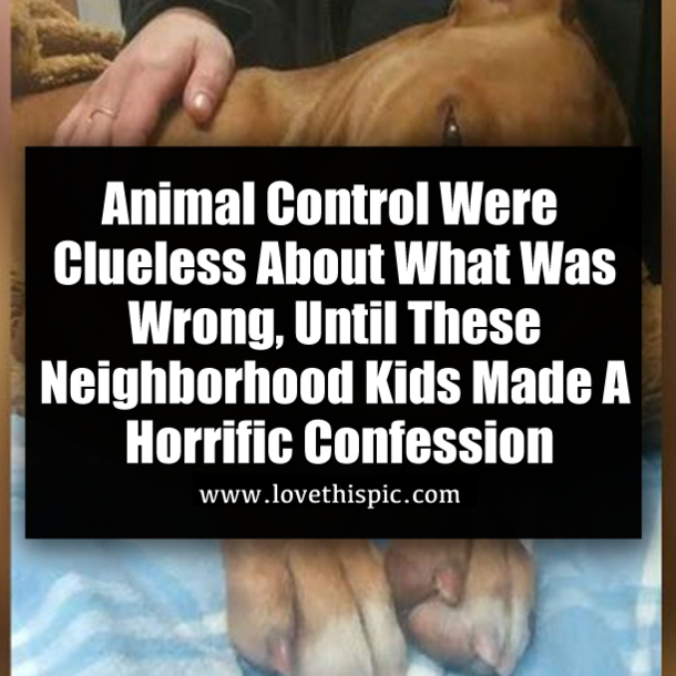 Animal Control Were Clueless About What Was Wrong, Until These Neighborhood Kids Made A Horrific Confession