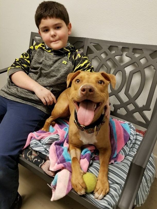 Animal Control Were Clueless About What Was Wrong, Until These Neighborhood Kids Made A Horrific Confession - picture 4