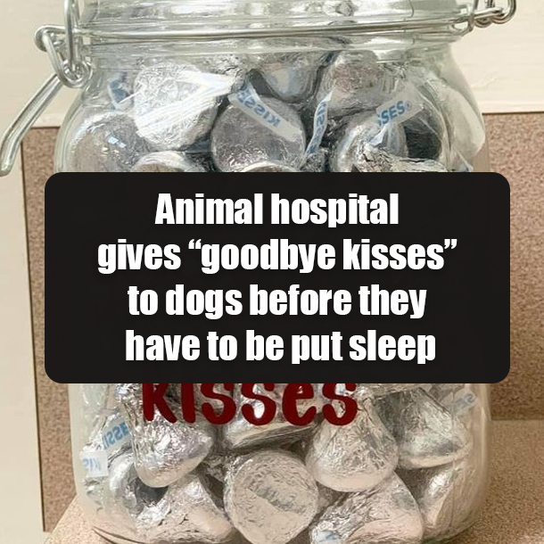 Animal hospital gives “goodbye kisses” to dogs before they have to be put sleep