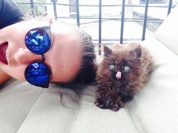 Animal Lover Saves Small Kitten—What Happens When He Grows Up Will Leave You Speechless! - picture 3