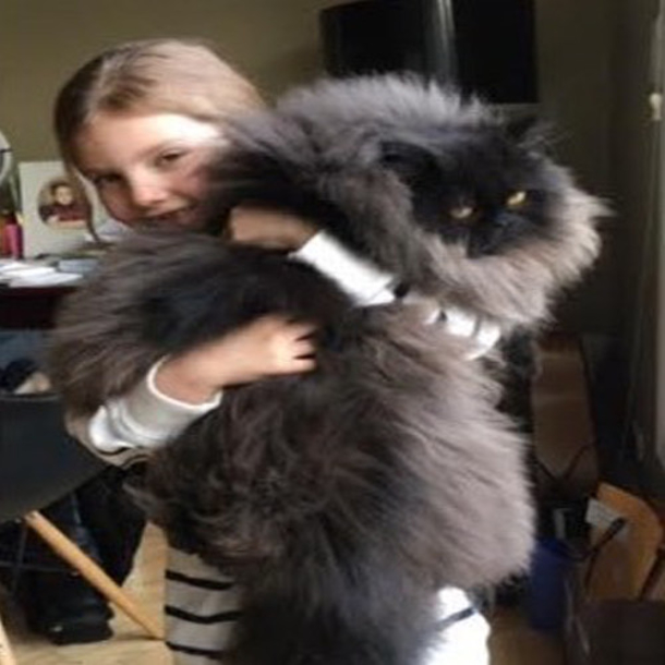 Animal Lover Saves Small Kitten—What Happens When He Grows Up Will Leave You Speechless! - picture 5