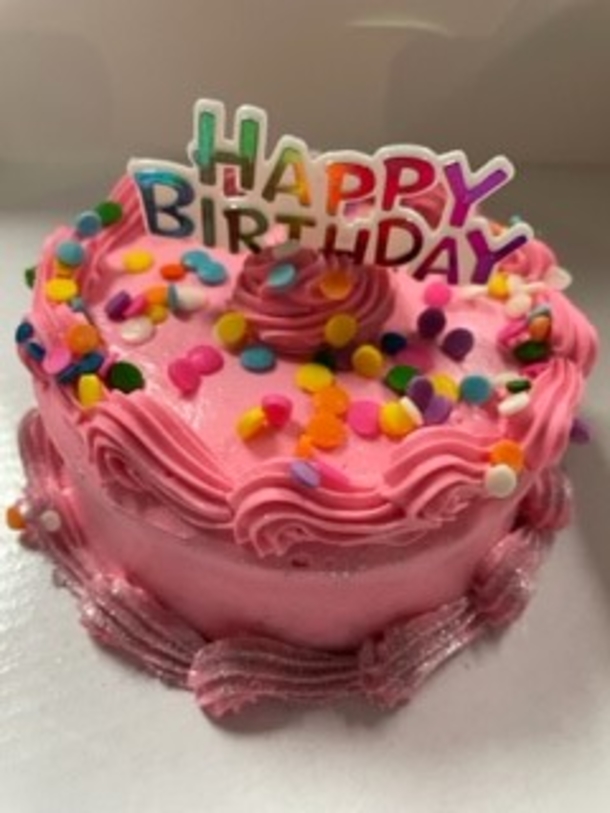 Animal Shelter puts together beautiful sweet 15th birthday party for unadoptable senior dog - picture 3