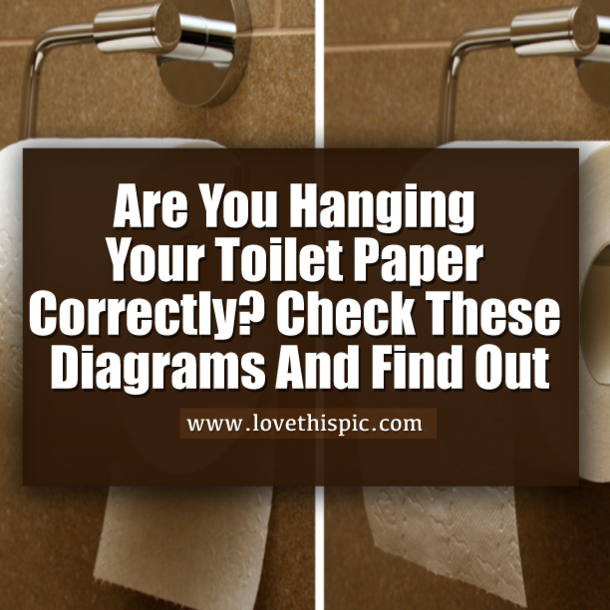 Are You Hanging Your Toilet Paper Correctly? Check These Diagrams And Find Out