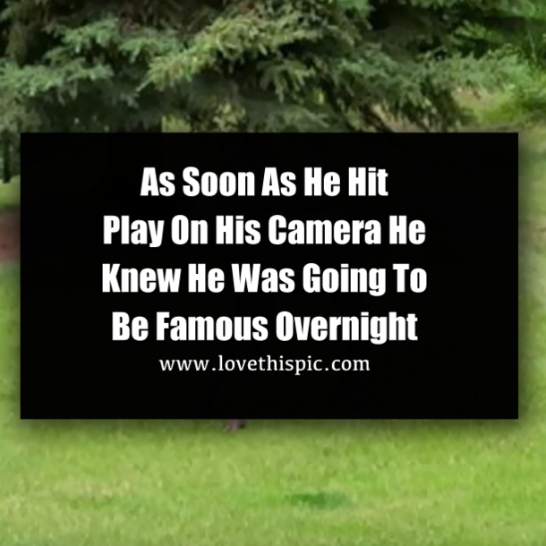 As Soon As He Hit Play On His Camera He Knew He Was Going To Be Famous Overnight