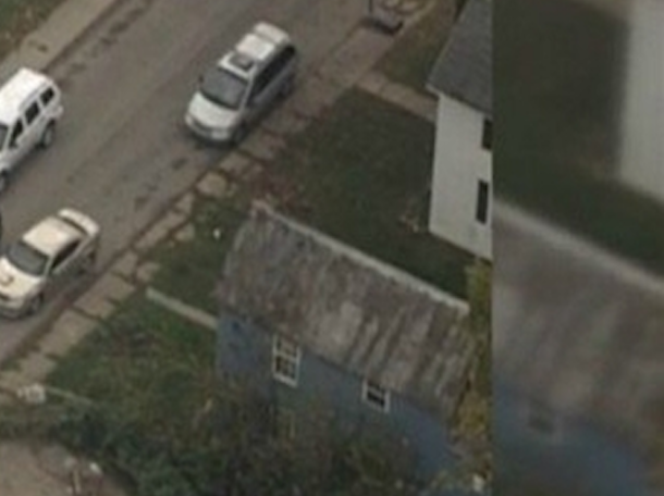 At First Neighbors Thought It Was A Graphic Halloween Decoration, Horrified At Closer Look - picture 3