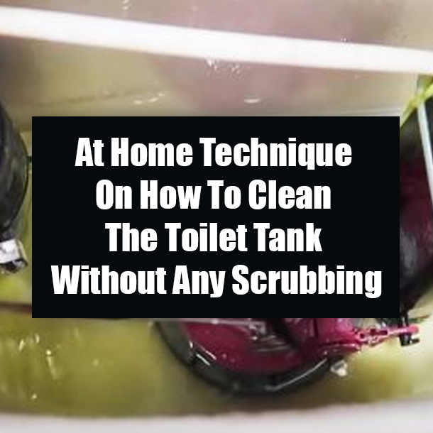 At Home Technique On How To Clean The Toilet Tank Without Any Scrubbing
