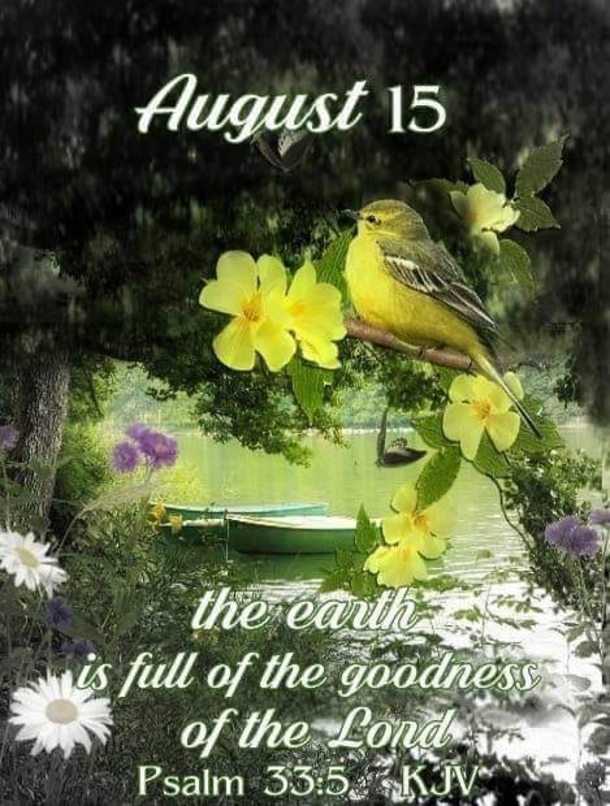 August 15 Quotes To Inspire The Day - picture 5
