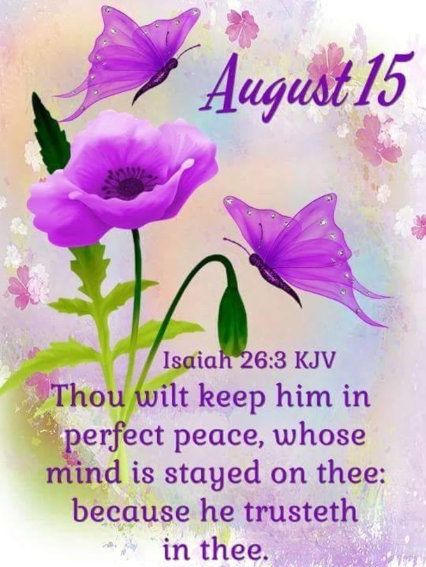 August 15 Quotes To Inspire The Day - picture 8