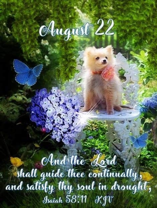 August 22 Quotes That Are Beautiful And Inspiring, Check Them Out! - picture 11