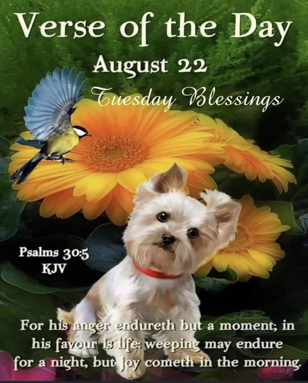 August 22 Quotes That Are Beautiful And Inspiring, Check Them Out! - picture 6