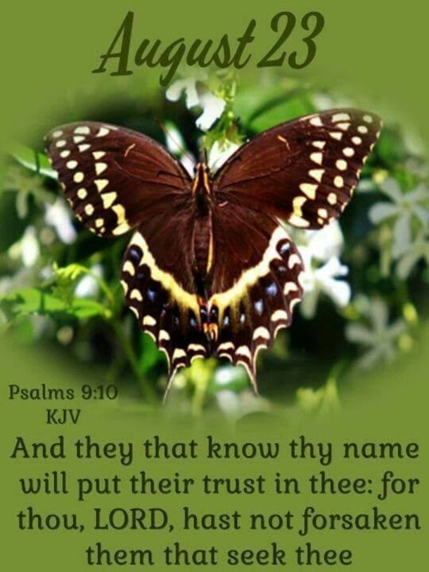 August 23 Quotes For A Beautiful And Grateful Day - picture 2