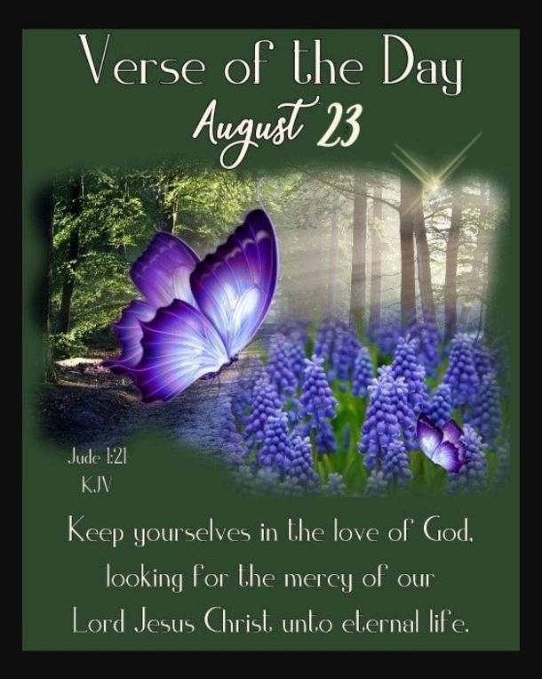 August 23 Quotes For A Beautiful And Grateful Day - picture 3