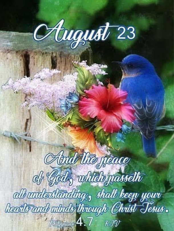 August 23 Quotes For A Beautiful And Grateful Day - picture 4