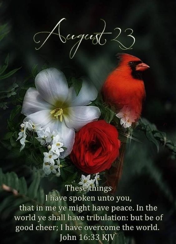 August 23 Quotes For A Beautiful And Grateful Day - picture 5