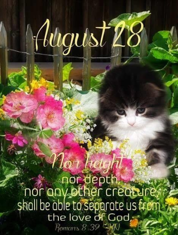 August 28 Beautiful Messages That Will Bless You With A Good Morning - picture 2