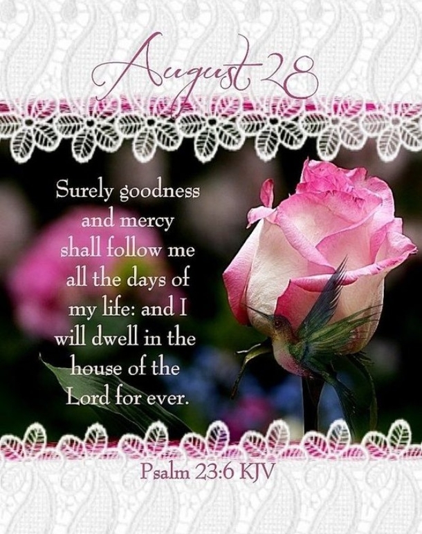 August 28 Beautiful Messages That Will Bless You With A Good Morning - picture 3