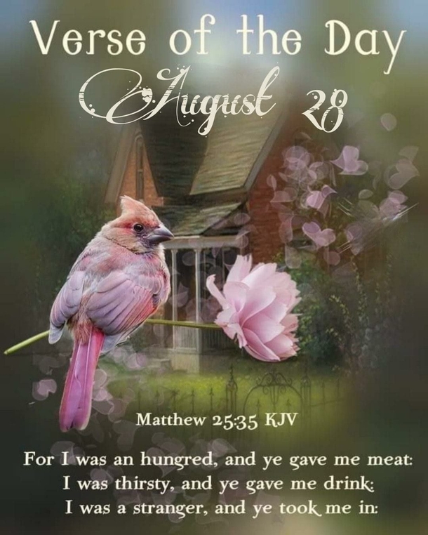 August 28 Beautiful Messages That Will Bless You With A Good Morning - picture 7