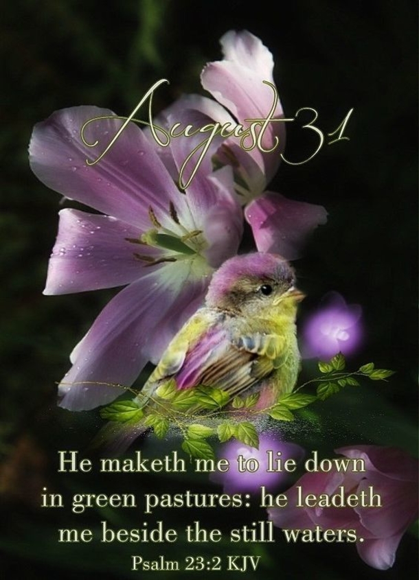 August 31 Quotes And Sayings To Say Goodbye To The Month Of August - picture 7