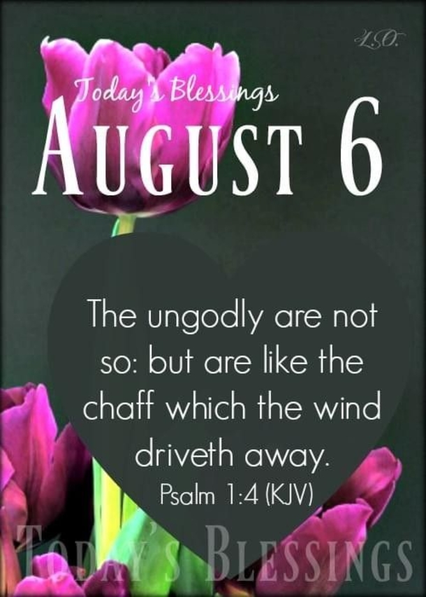 August 6 Quotes, Sayings And Blessings For An Inspiring Day - picture 10
