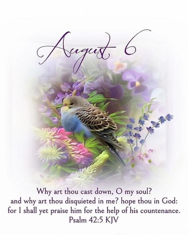 August 6 Quotes, Sayings And Blessings For An Inspiring Day - picture 4