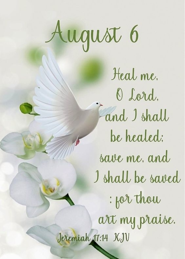 August 6 Quotes, Sayings And Blessings For An Inspiring Day - picture 6
