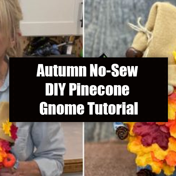 Autumn No-Sew DIY Pinecone Gnome Tutorial