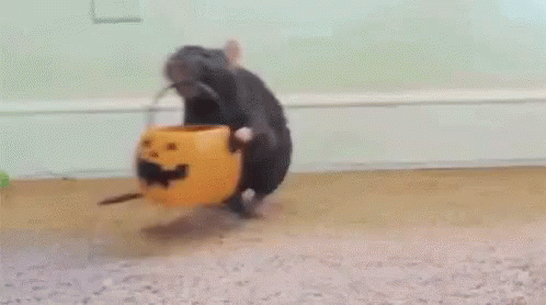 Awesome Trick Or Treat Gifs For Halloween - picture 6