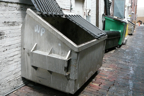 Baby boy found near dumpster starts multi-million dollar company and becomes highly respected CEO - picture 3