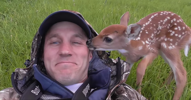 Baby Deer Refuses To Leave The Human Who Saved Her Life - picture 2