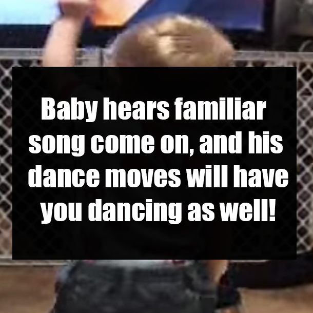 Baby hears familiar song come on, and his dance moves will have you dancing as well!