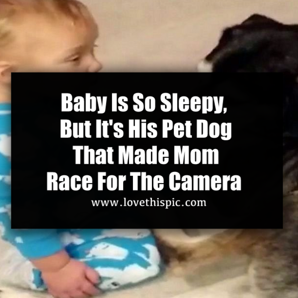 Baby Is So Sleepy, But It's His Pet Dog That Made Mom Race For The Camera