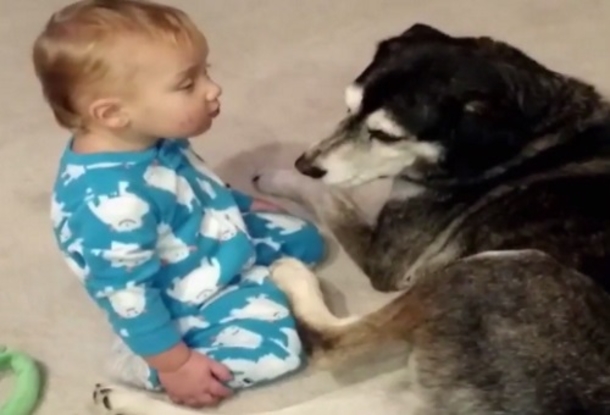 Baby Is So Sleepy, But It's His Pet Dog That Made Mom Race For The Camera - picture 3