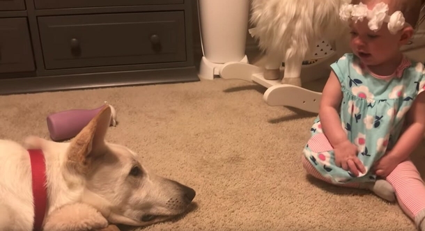 Baby spoils her dog with nose kisses – nobody expected this to be his response - picture 2