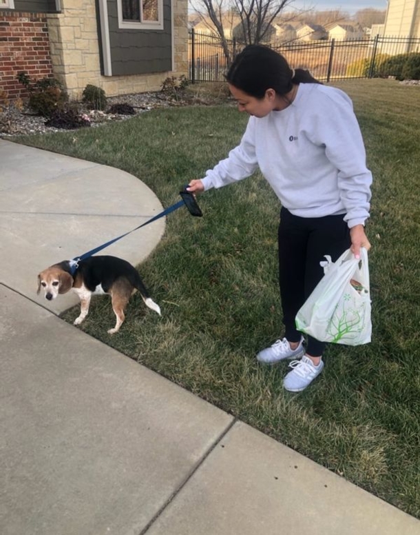 Beagle who disappeared for 8 years found 1,400 miles away, finally reunites with family - picture 4
