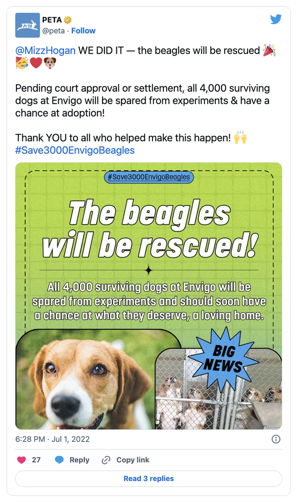 Beagles saved from Envigo testing facility last year are reunited for special birthday party - picture 3