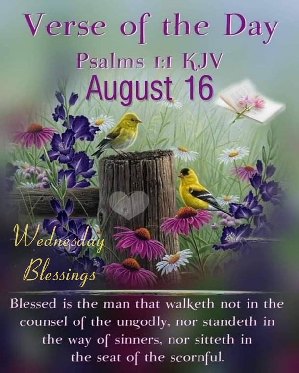 Beautiful August 16 Quotes And Sayings For The Day - picture 2