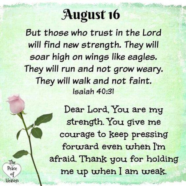 Beautiful August 16 Quotes And Sayings For The Day - picture 3