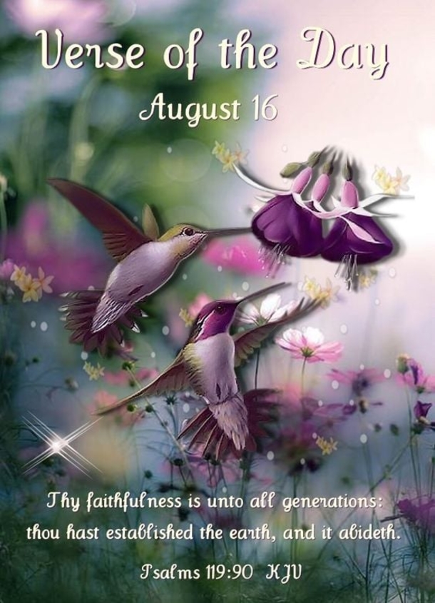 Beautiful August 16 Quotes And Sayings For The Day - picture 7