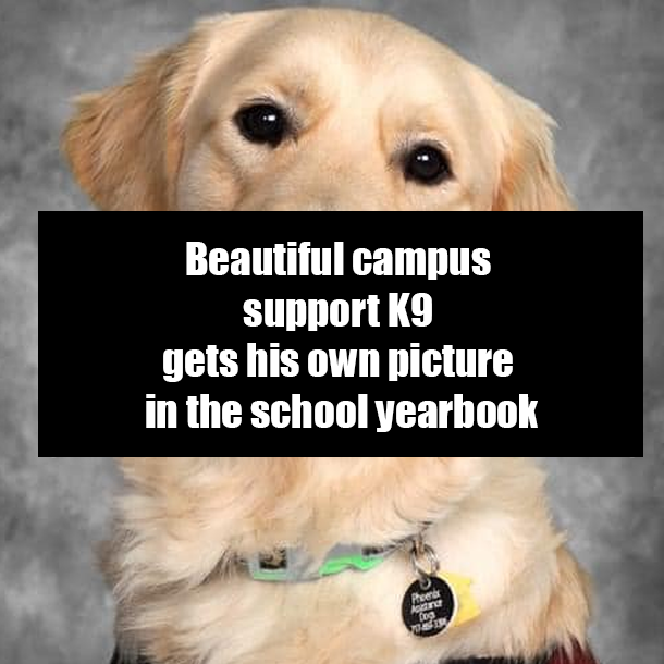 Beautiful campus support K9 gets his own picture in the school yearbook