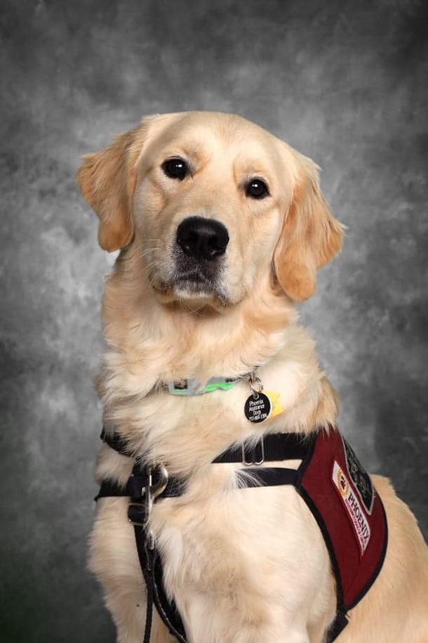 Beautiful campus support K9 gets his own picture in the school yearbook - picture 4