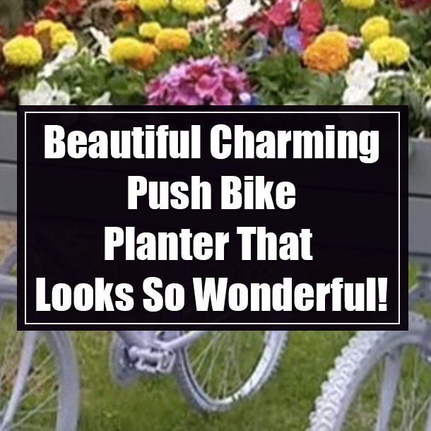 Beautiful Charming Push Bike Planter That Looks So Wonderful!