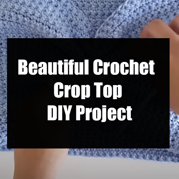 Beautiful Crochet Crop Top DIY Project