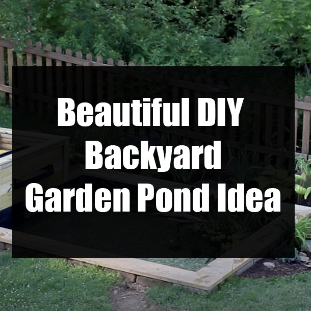Beautiful DIY Backyard Garden Pond Idea