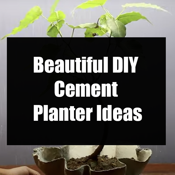 Beautiful DIY Cement Planter Ideas