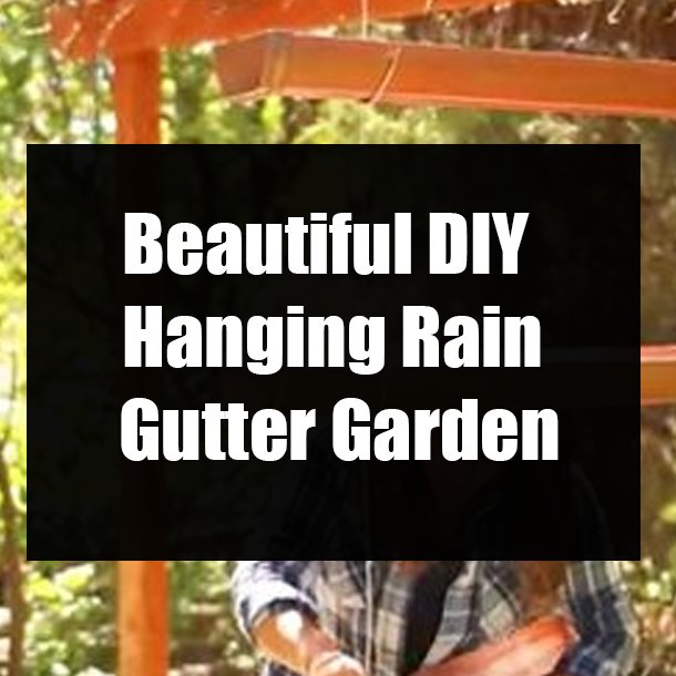 Beautiful DIY Hanging Rain Gutter Garden - How To