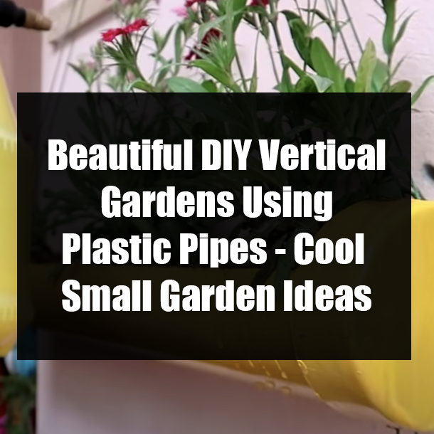 Beautiful DIY Vertical Gardens Using Plastic Pipes - Cool Small Garden Ideas